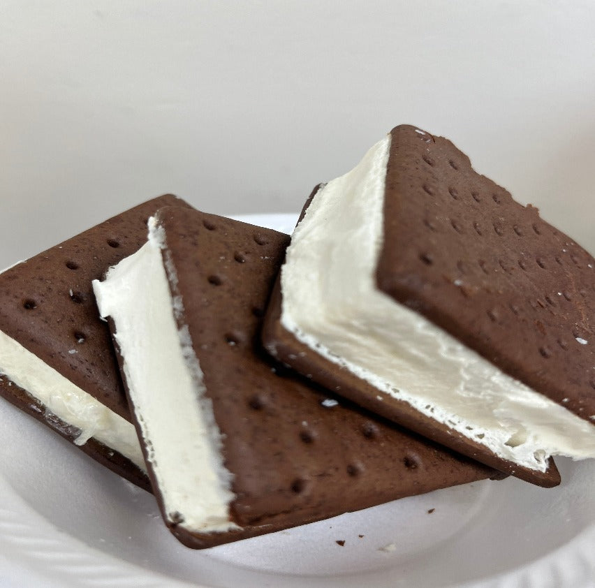 Freeze Dried Ice Cream Sandwich