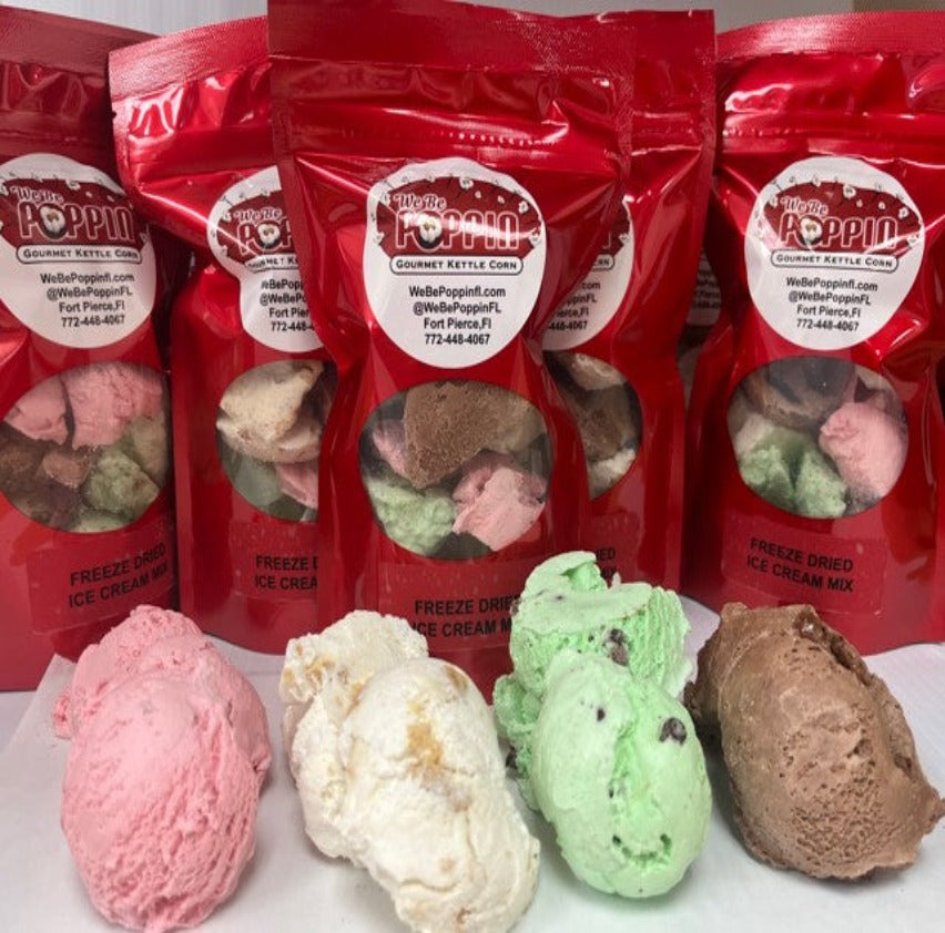 Freeze Dried Ice Cream Variety Bag