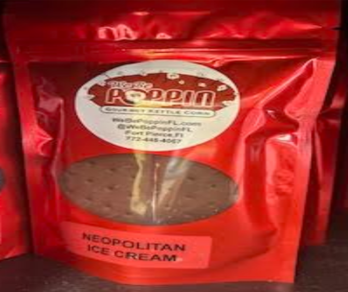Neopolitan Ice Cream Sandwich Dreeze Dried
